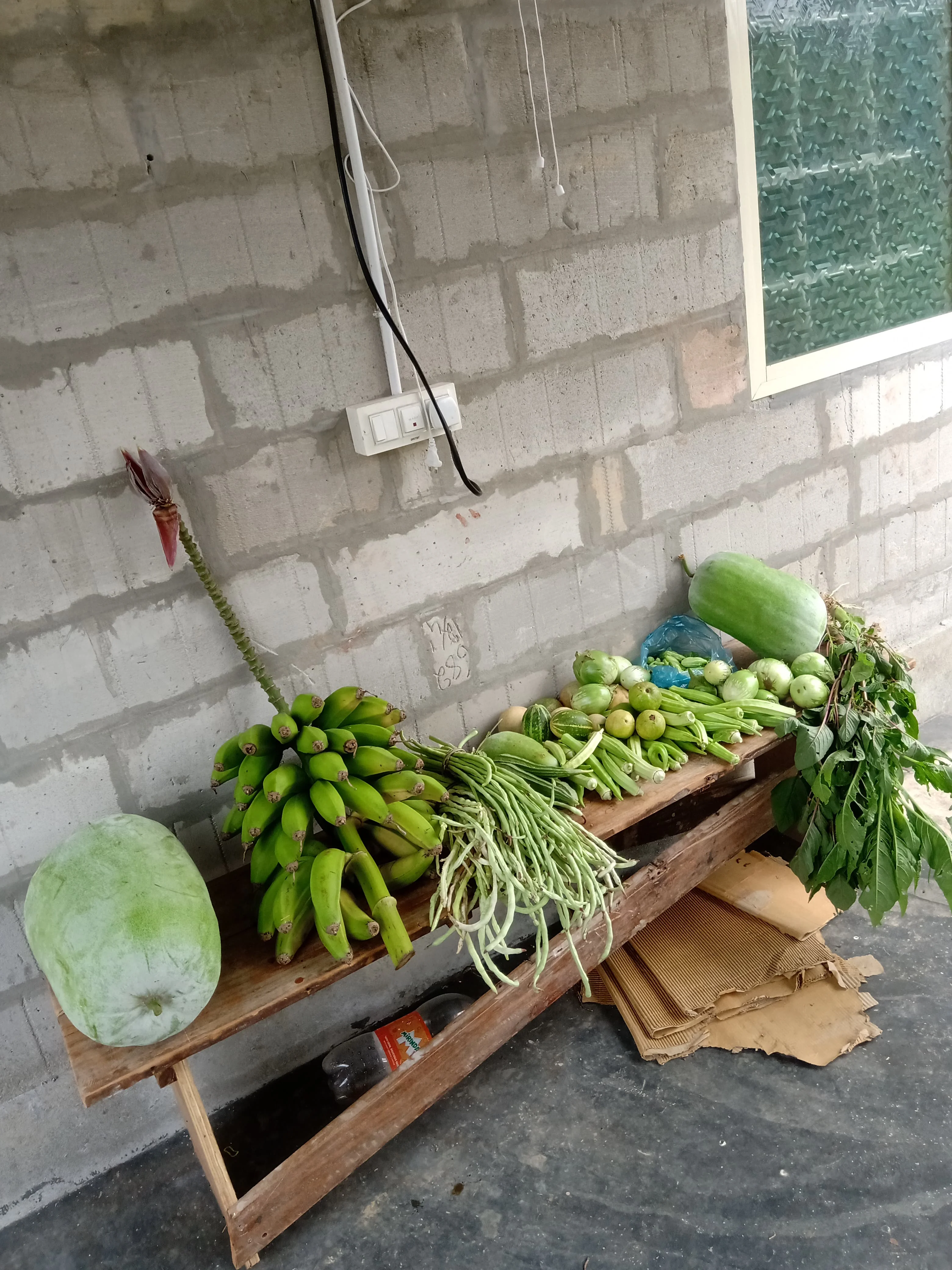 A rustic wooden bench displaying a fresh harvest of organic vegetables including bananas, gourds, and long beans against a brick wall.