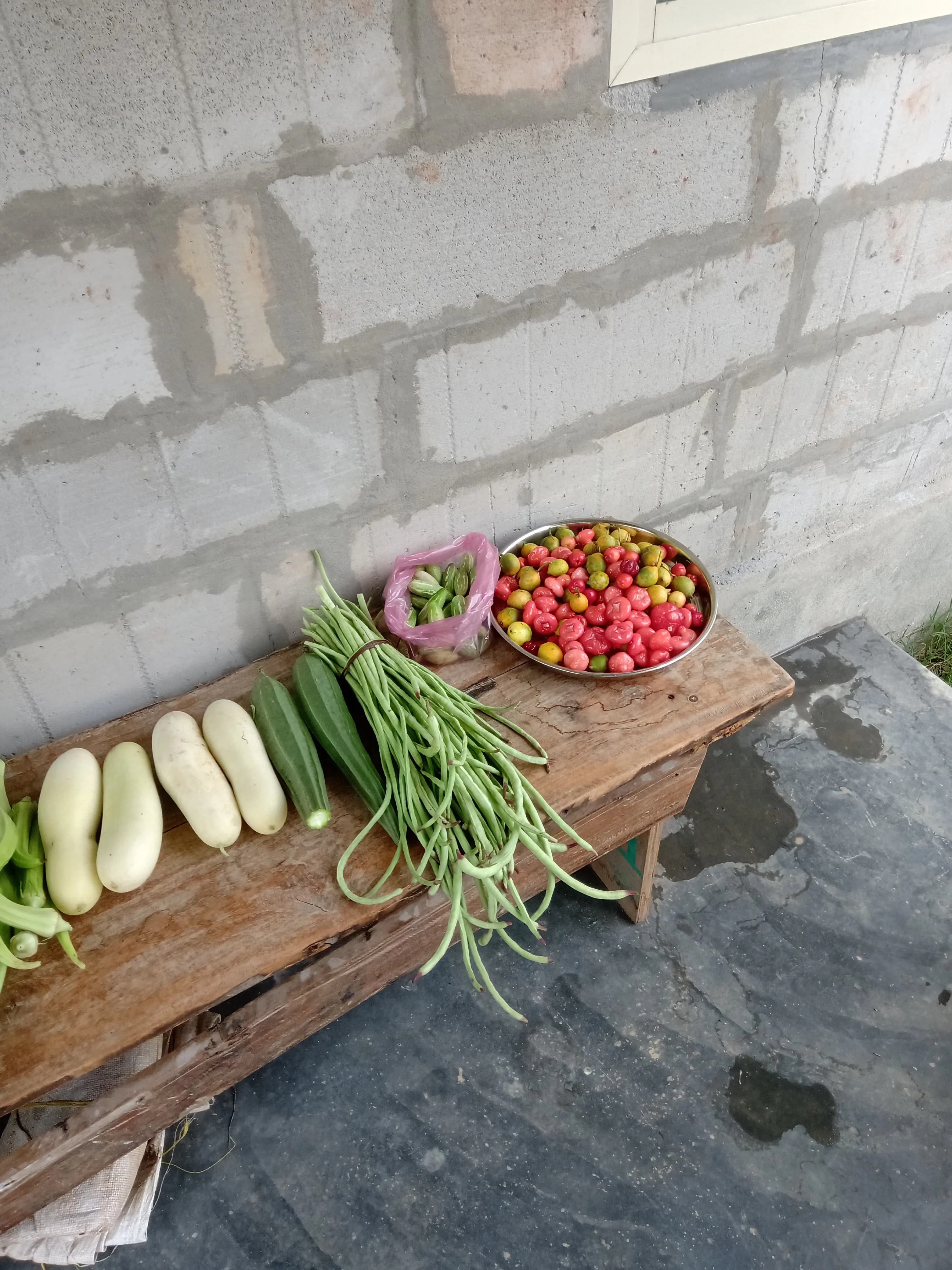 A close-up of a wooden bench showcasing a variety of organic produce, including light green gourds, long beans, and small red and yellow fruits.
