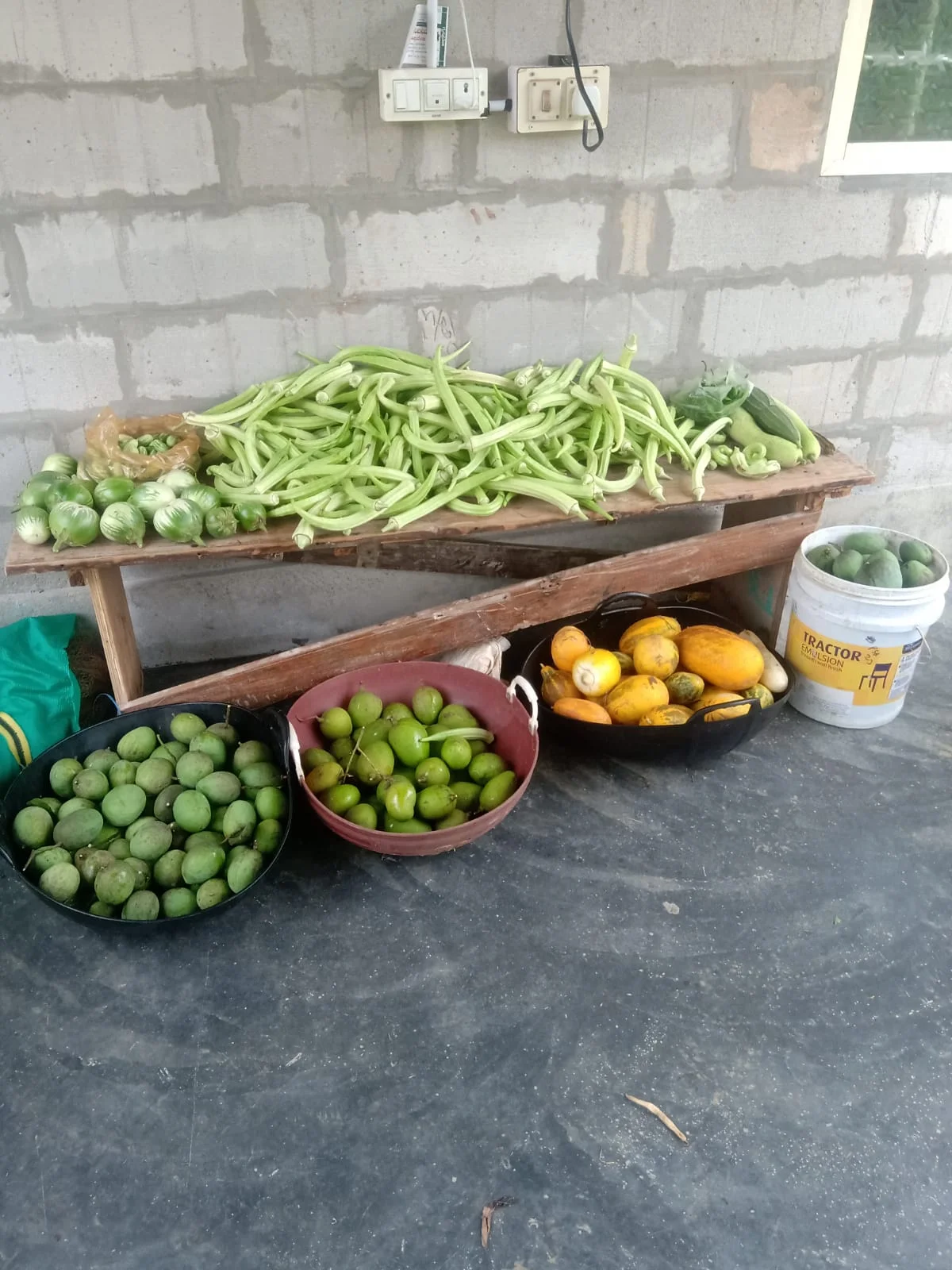 A large variety of freshly harvested organic vegetables and fruits laid out on a wooden bench and in baskets, ready for market.